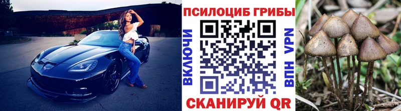 MEGA зеркало  Камбарка  Галлюциногенные грибы Cubensis 